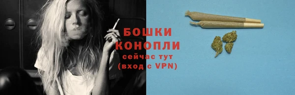 марки lsd Белокуриха