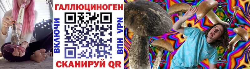 мориарти Telegram  Высоковск  Псилоцибиновые грибы Cubensis 